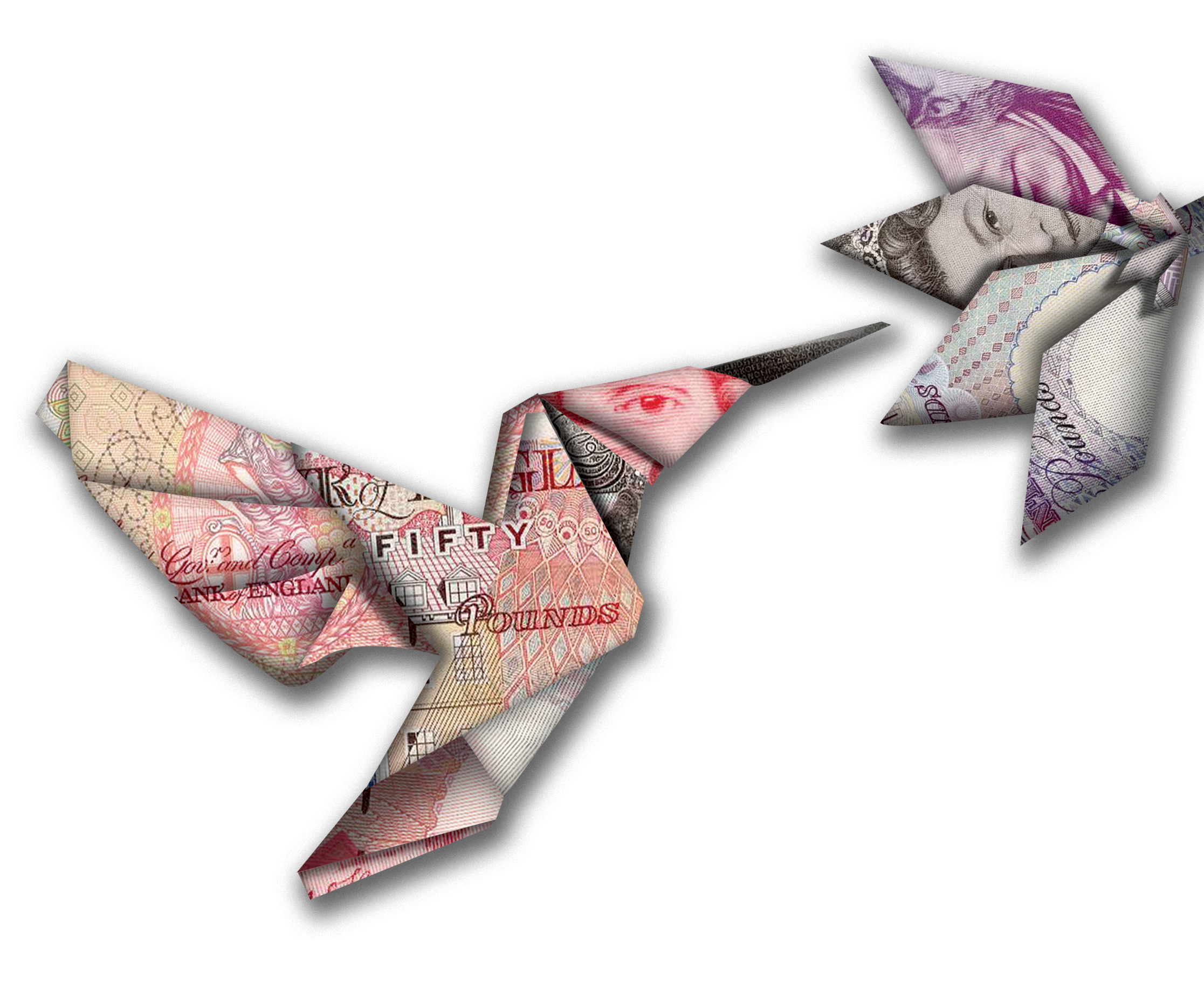 Money Bird