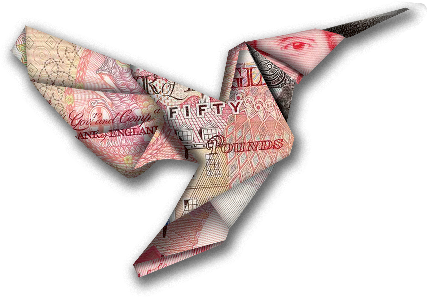 Money Bird